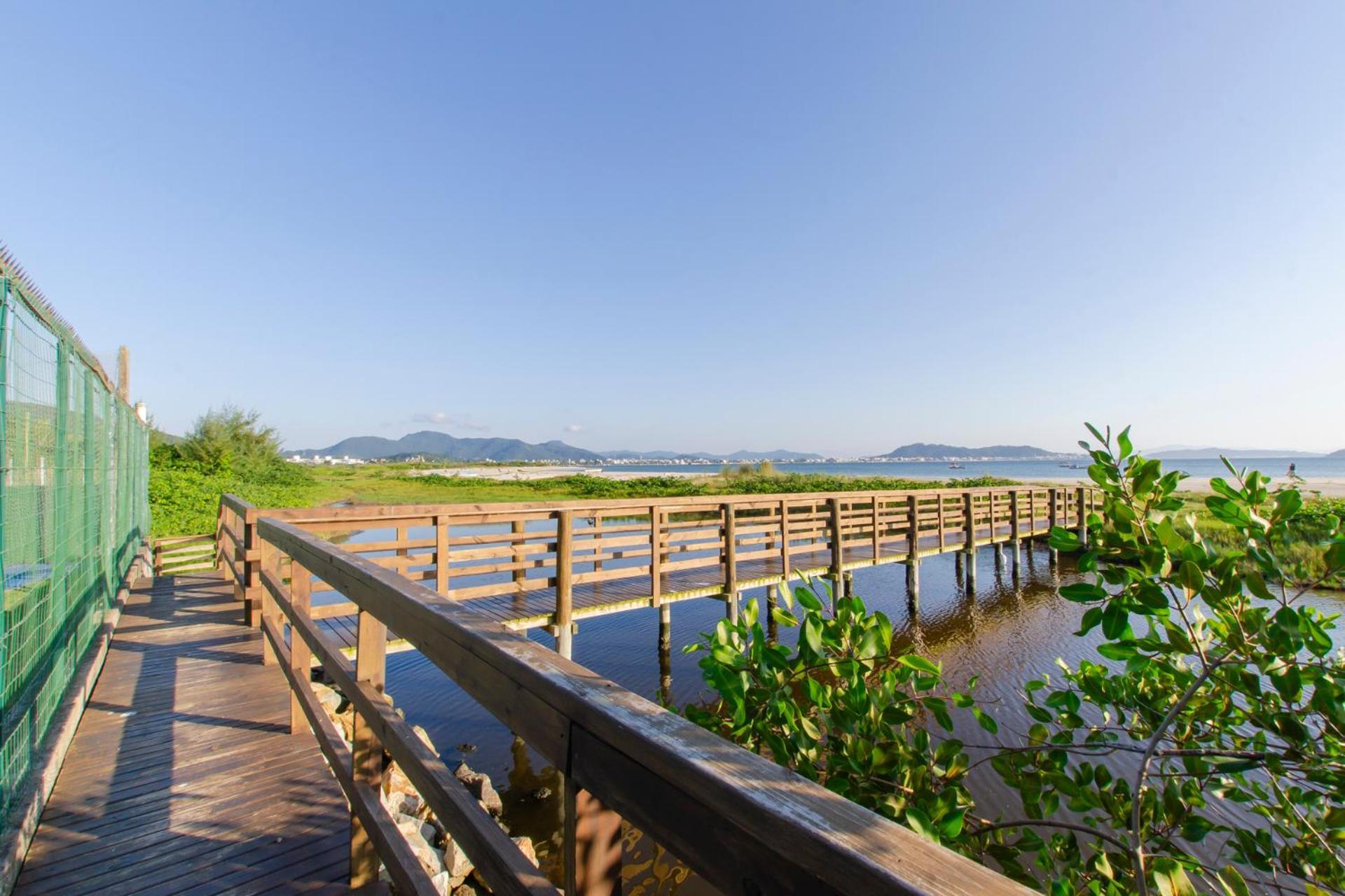 Apto Pe Na Areia Em Condominio Com Piscina N1298 Florianópolis Екстериор снимка